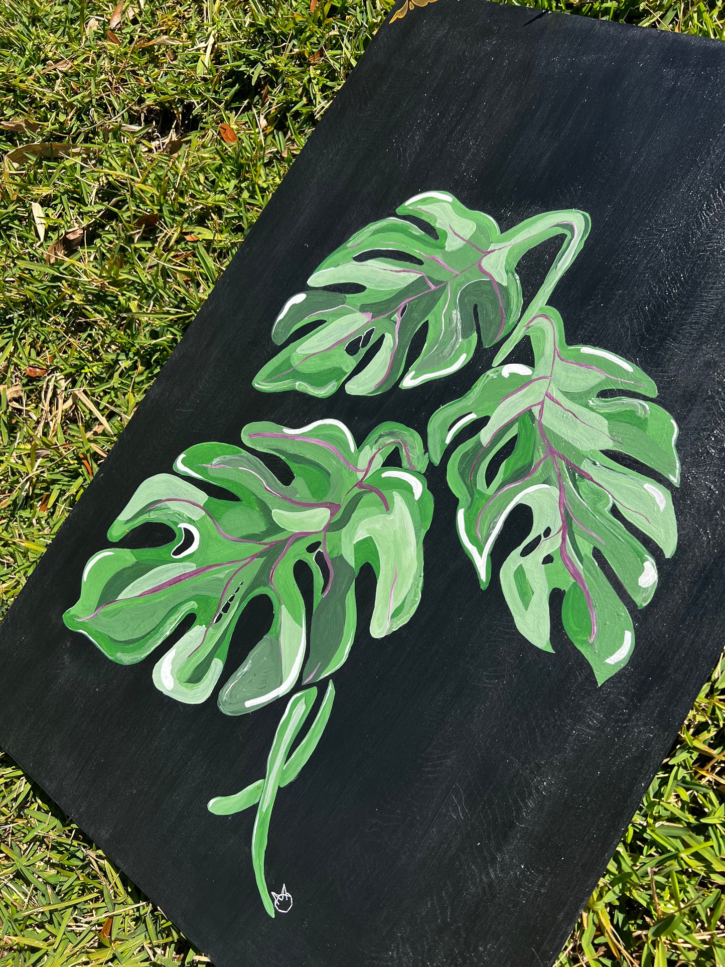 Monstera hand painted